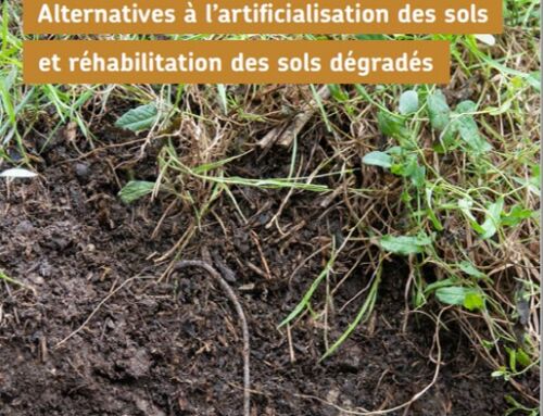 Renaturation – présentation du REX Terzéo